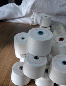 WhatsApp Image 2025-10-05 at 11.30.04 AM