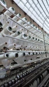 WhatsApp Image 2025-10-05 at 11.31.04 AM